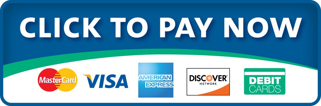 Pay Now Button